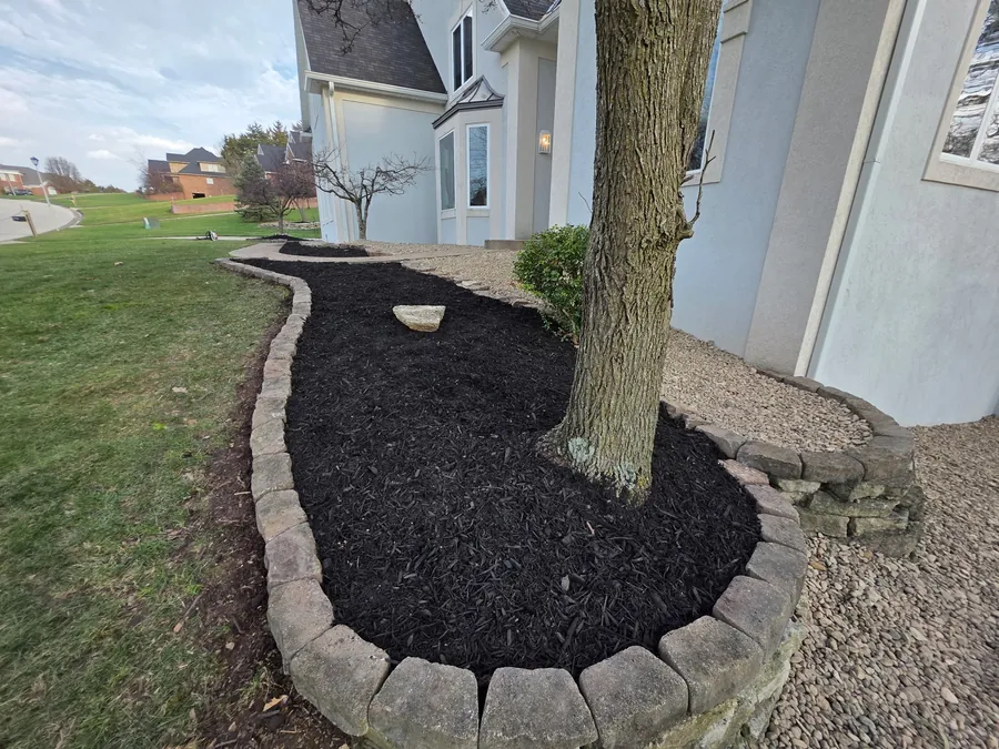 Fresh black mulch bed with stone edging around a tree